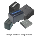 Batterie camescope panasonic hc v130