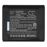 Batterie appareil de mesure panametrics pt900