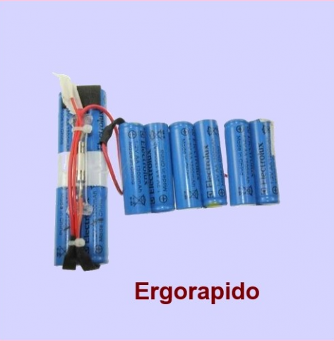 Batterie aspirateur electrolux rapido